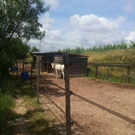 Les Anes De Petit Jean Maison d'hôtes Pierrefeu-du-Var
