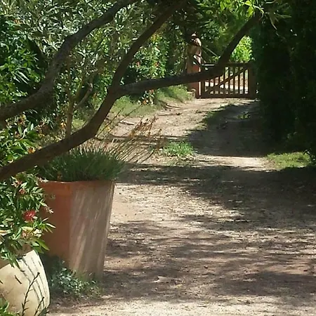 Les Anes De Petit Jean Pierrefeu-du-Var