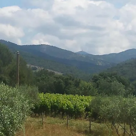 Les Anes De Petit Jean Maison d'hôtes Pierrefeu-du-Var