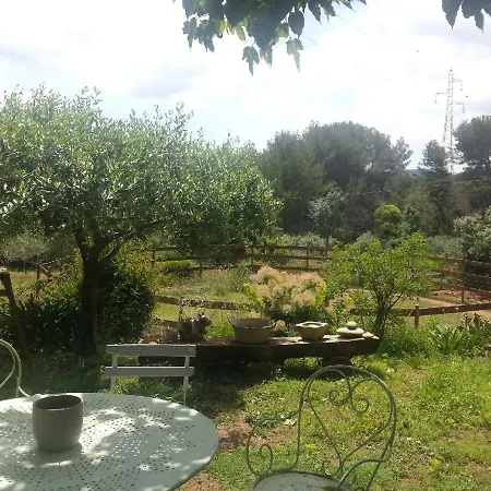 Les Anes De Petit Jean Pierrefeu-du-Var