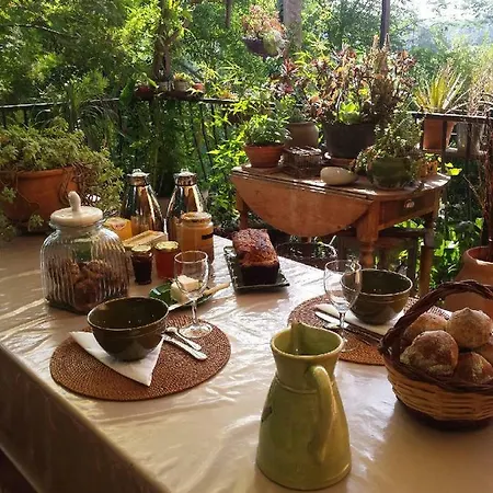 Les Anes De Petit Jean Pierrefeu-du-Var